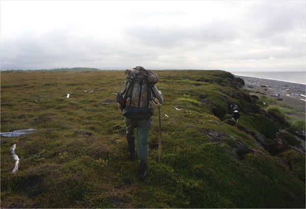 По берегу Охотского моря с рюкзаком и собакой.